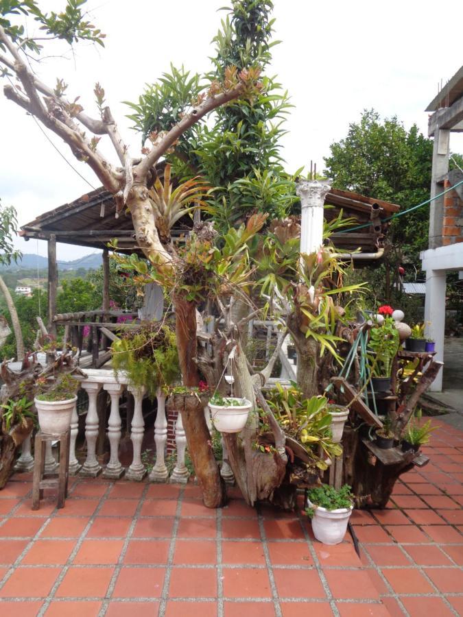 Hostal Loco Locombia San Agustín Екстериор снимка